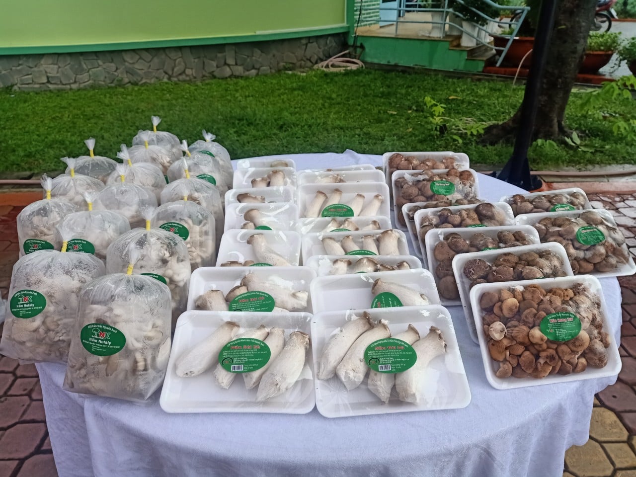 Nấm các loại